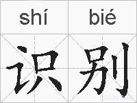 识别的拼音
