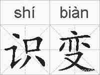 识变的拼音