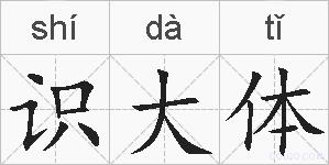 识大体的拼音