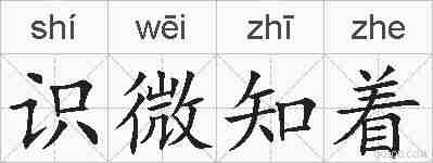 识微知着的拼音