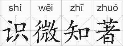 识微知著的拼音