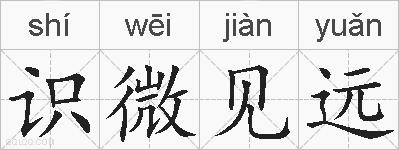 识微见远的拼音