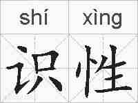识性的拼音