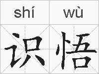 识悟的拼音