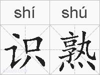 识熟的拼音