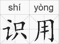 识用的拼音
