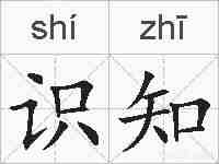 识知的拼音