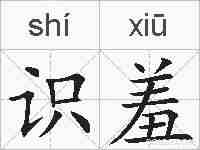 识羞的拼音
