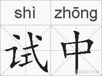 试中的拼音