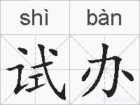 试办的拼音