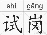 试岗的拼音