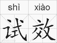 试效的拼音