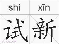 试新的拼音