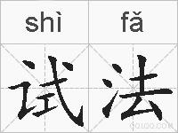 试法的拼音