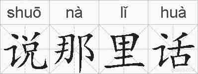 说那里话的拼音