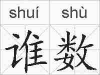 谁数的拼音