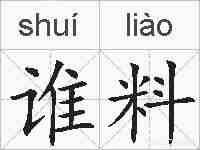 谁料的拼音
