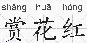 赏花红的拼音