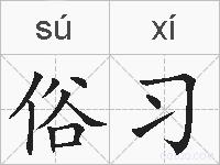 俗习的拼音