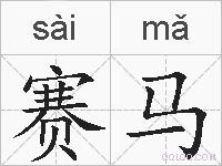 赛马的拼音
