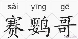 赛鹦哥的拼音