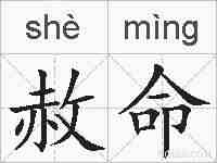 赦命的拼音