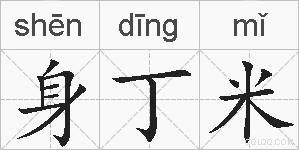 身丁米的拼音