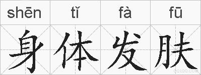 身体发肤的拼音