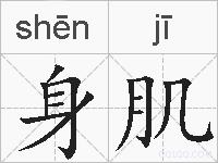 身肌的拼音