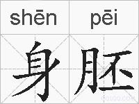身胚的拼音