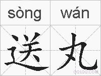 送丸的拼音