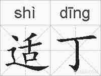 适丁的拼音