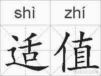 适值的拼音