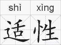 适性的拼音