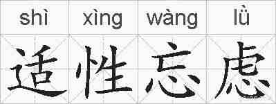 适性忘虑的拼音