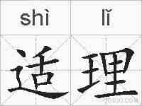 适理的拼音