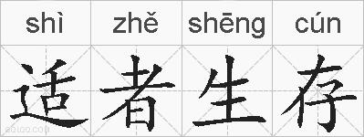 适者生存的拼音