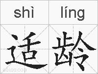 适龄的拼音