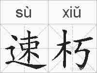 速朽的拼音