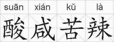 酸咸苦辣的拼音