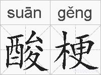 酸梗的拼音