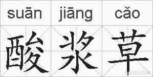 酸浆草的拼音