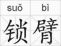 锁臂的拼音