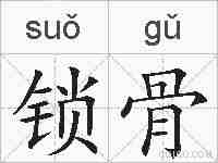 锁骨的拼音