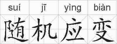 随机应变的拼音