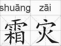 霜灾的拼音