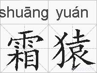 霜猿的拼音