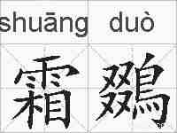 霜鵽的拼音