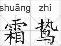 霜鸷的拼音