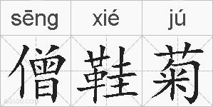 僧鞋菊的拼音